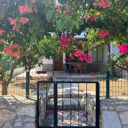 Villa Merkez Mini Datça